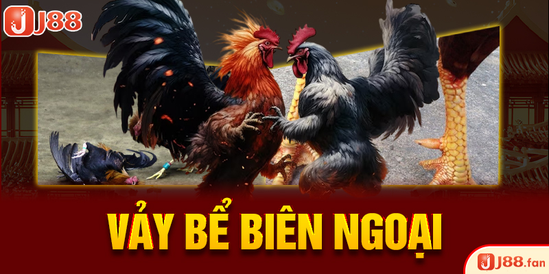 Vảy bể biên ngoại