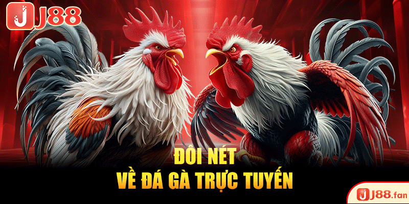 Đá Gà Trực Tuyến - Sôi Động, Kịch Tính Từng Khoảnh Khắc 2 Đôi nét về đá gà trực tuyến